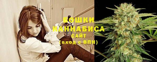 гашик Ступино