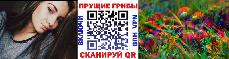 где продают наркотики  Сурск  ссылка на мегу   Псилоцибиновые грибы Magic Shrooms 